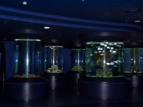 海底环游内景